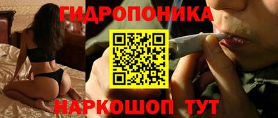 прущие грибы Краснокаменск