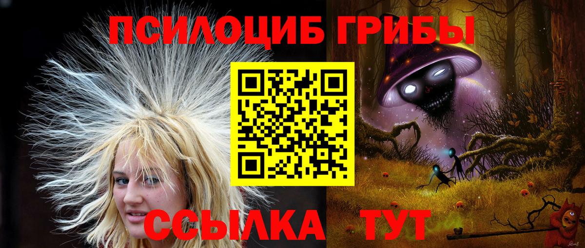 Галлюциногенные грибы прущие грибы  Вход с VPN  Арзамас 